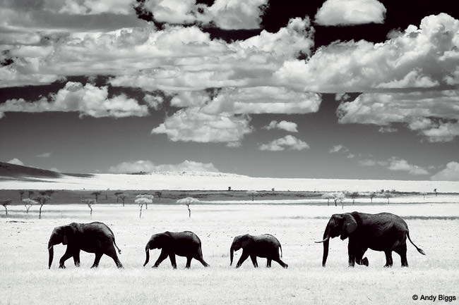 fotografía en blanco y negro