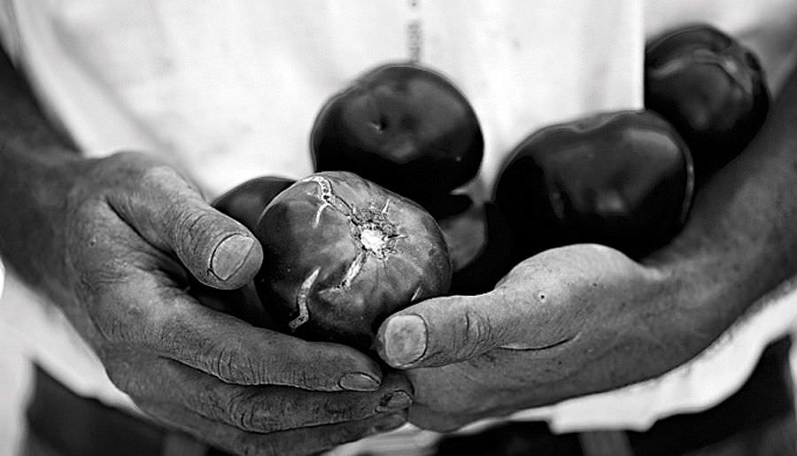 fotografía en blanco y negro