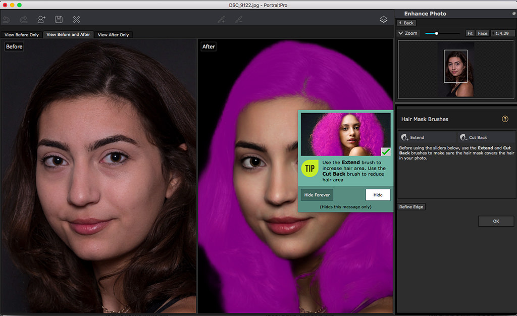 Comentario: PortraitPro 18