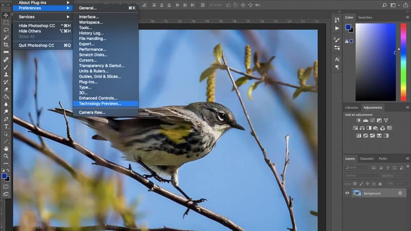 Conserve los detalles al aumentar la escala de las imágenes de Photoshop