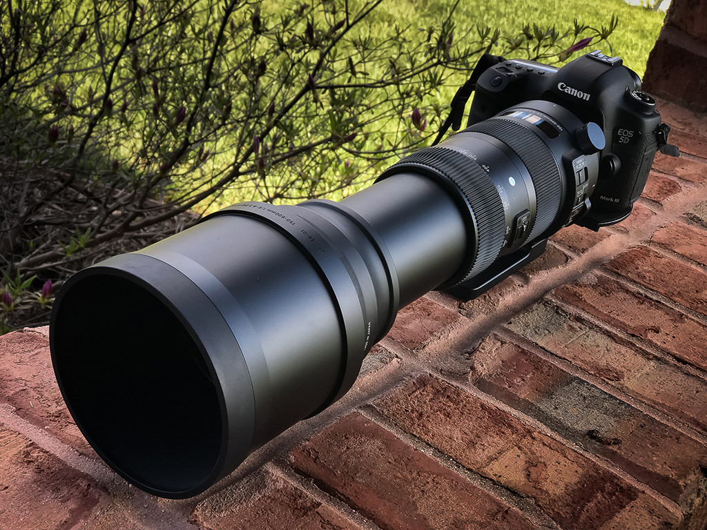 Observación de aves en el patio trasero con un zoom de superteleobjetivo