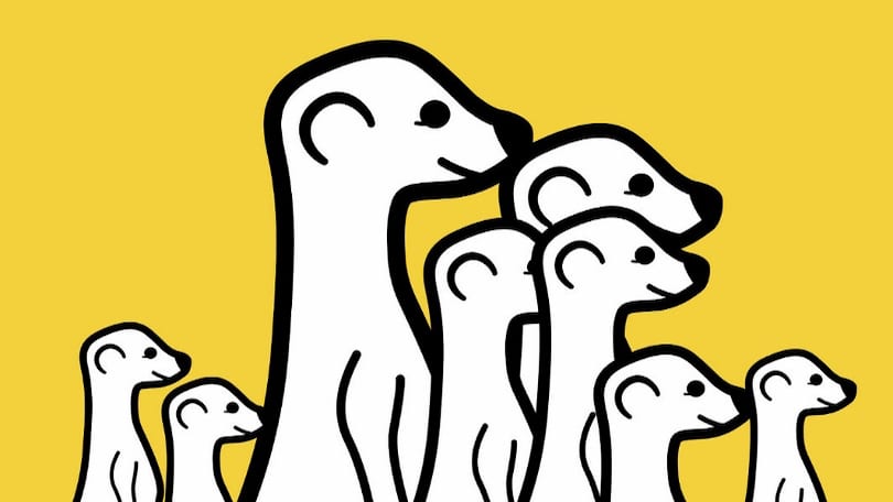 La aplicación de transmisión Meerkat está oficialmente muerta