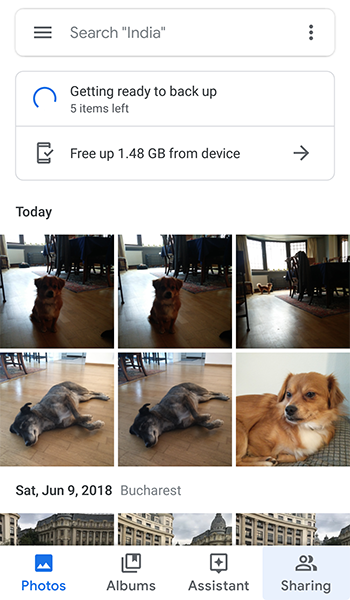 Organizar Google Photos