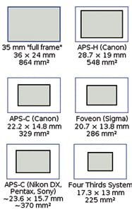 ¿Qué define una DSLR profesional?