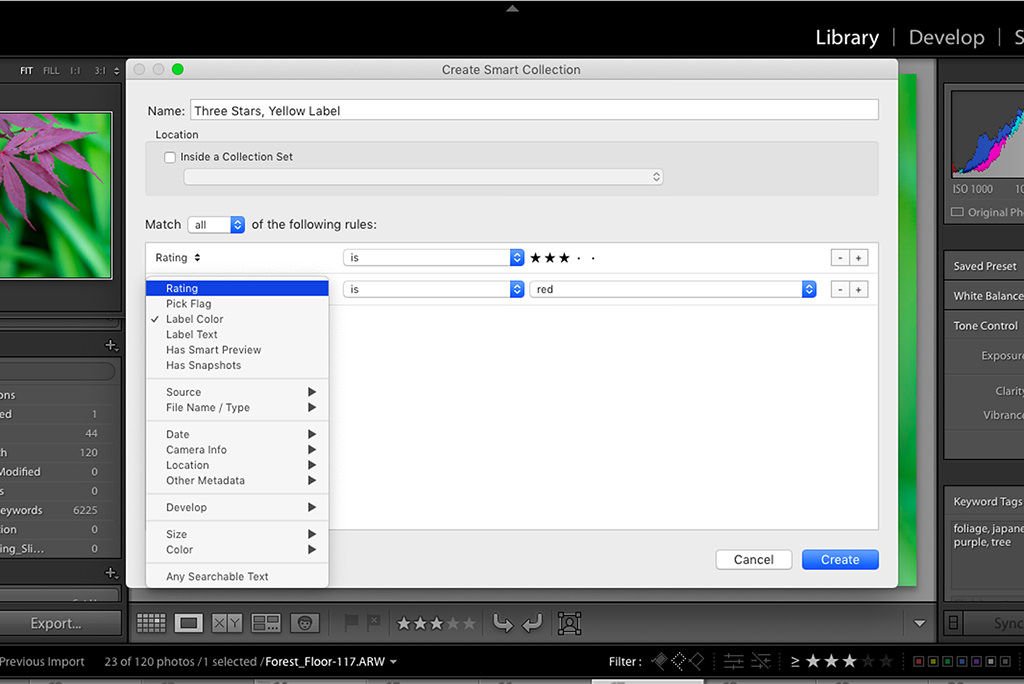 Comprensión de las colecciones inteligentes en Lightroom