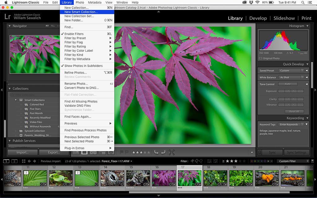 Comprensión de las colecciones inteligentes en Lightroom