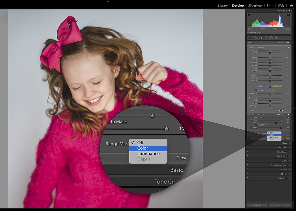 Nuevo ajuste de tono local de Lightroom