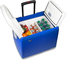 Wagan 12V Cooler Warmer Image