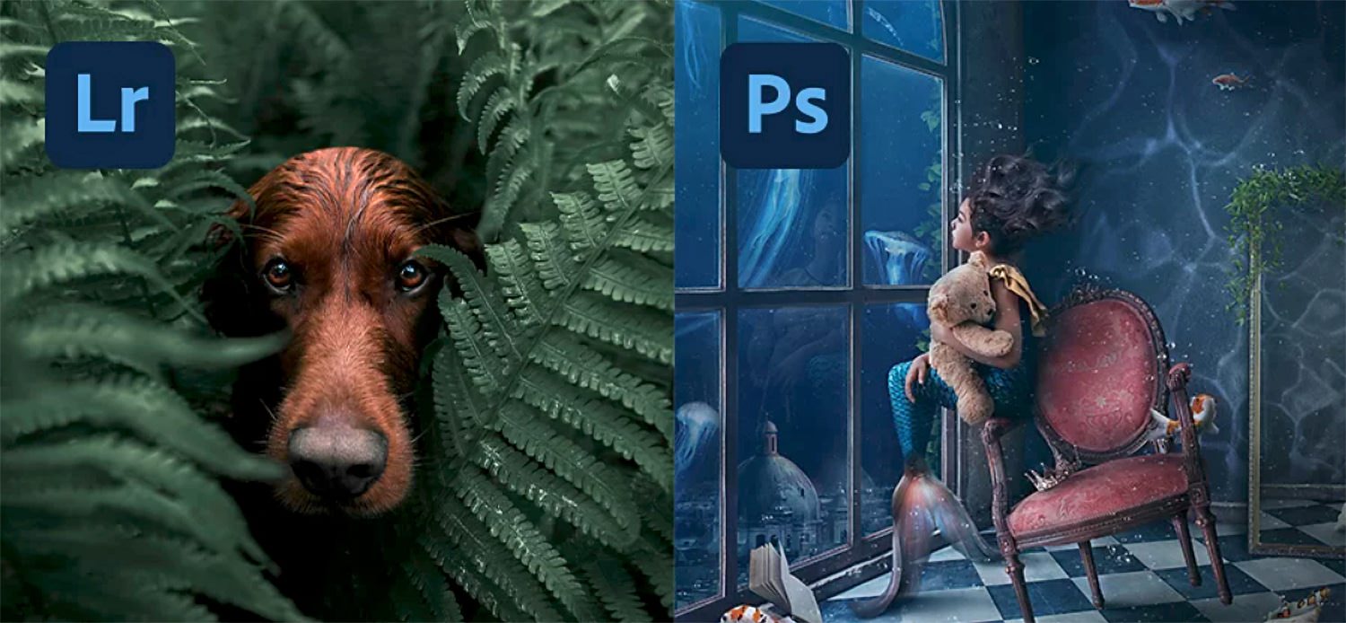 Lightroom vs Photoshop 2021: ¿Cuál es la diferencia entre estos dos programas de Adobe?