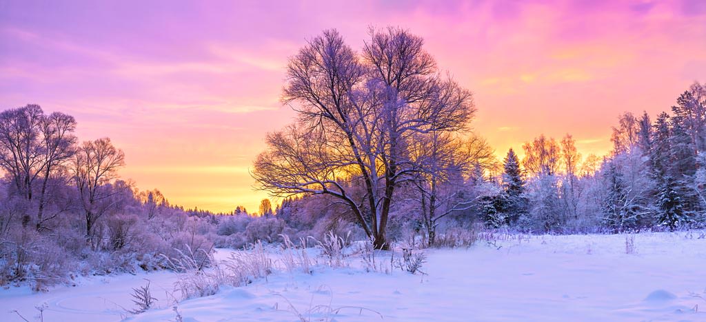 Cinco consejos para fotografiar la nieve